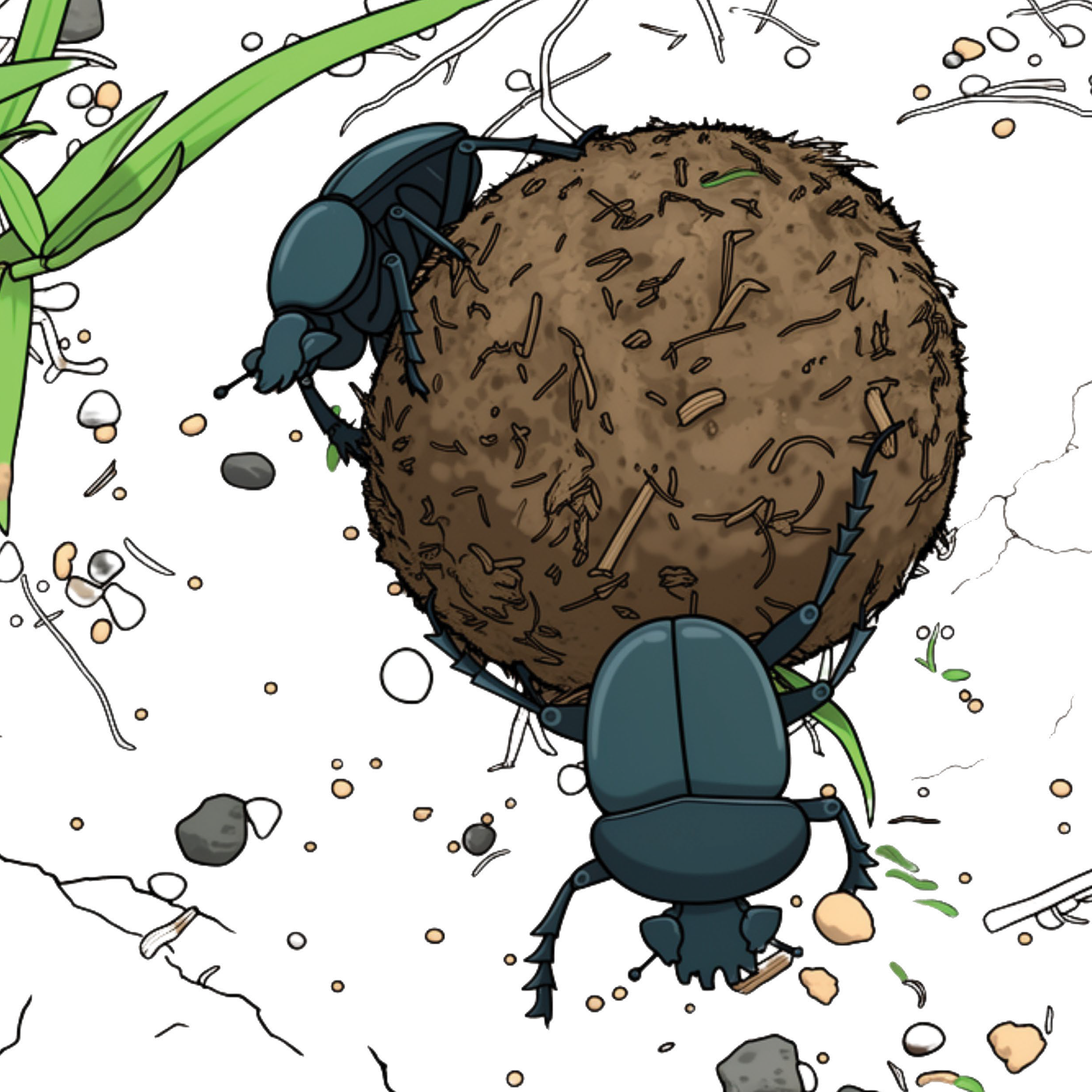Elephants and dung beetles Page_09.png
