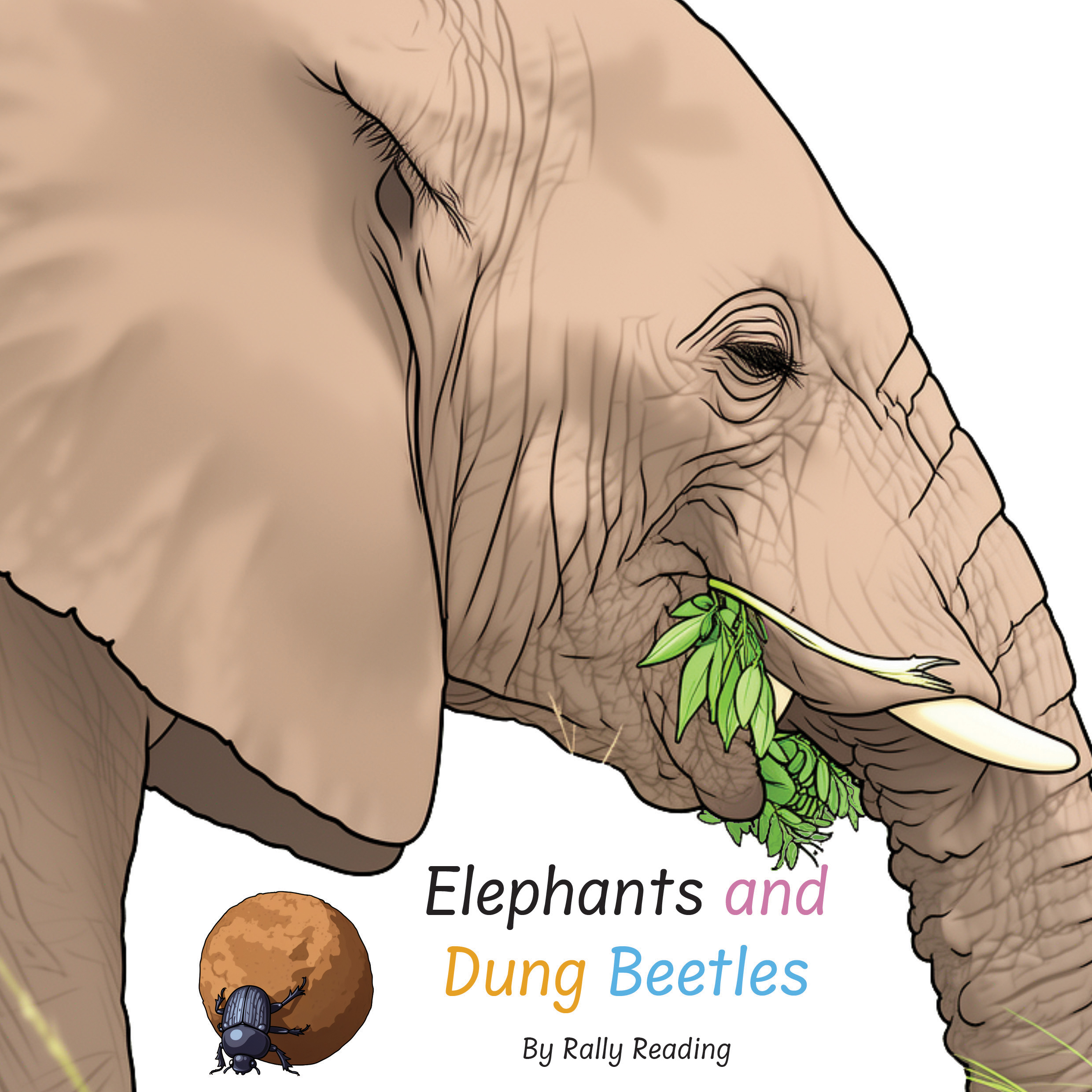 Elephants front cover.jpg