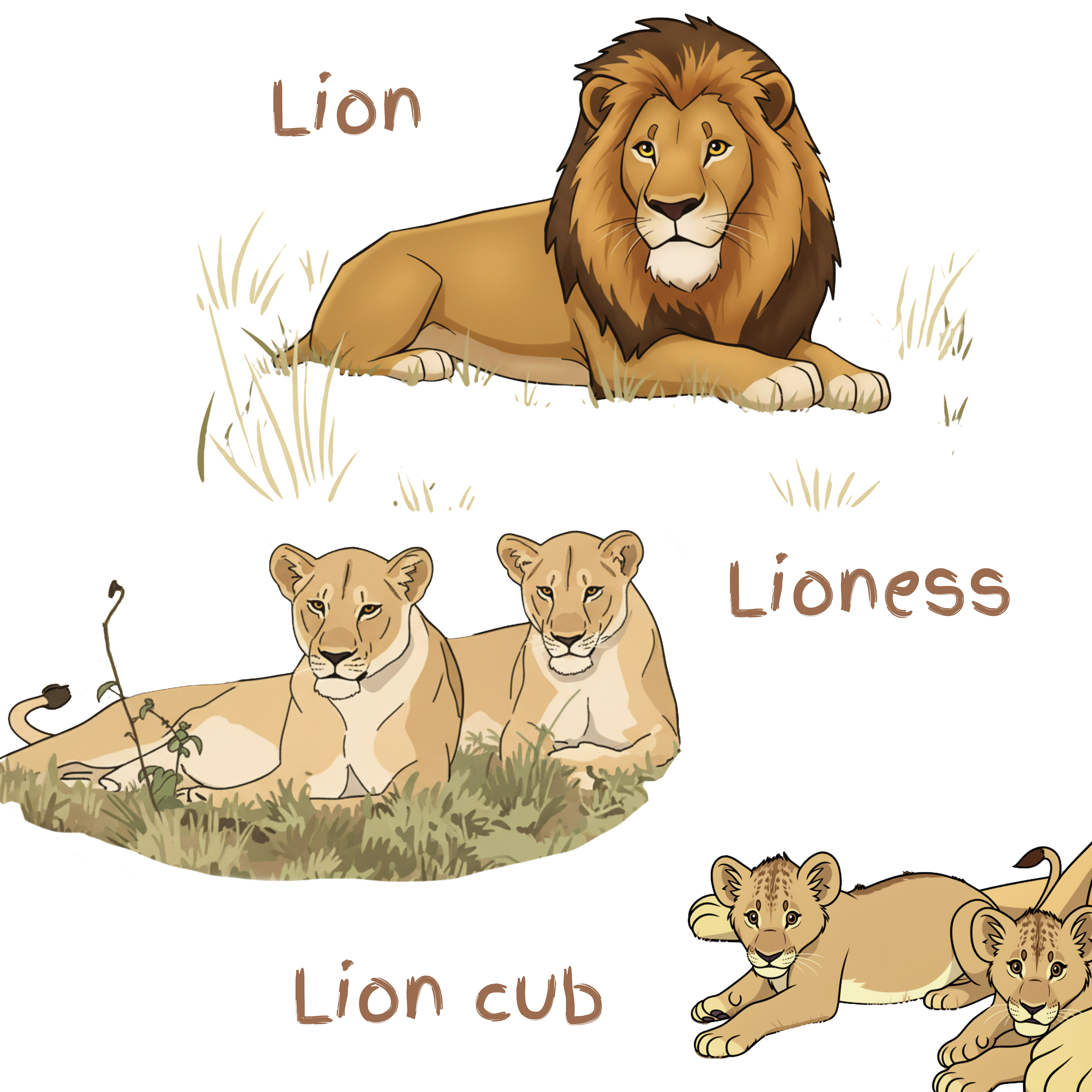 Big Cats9.jpg