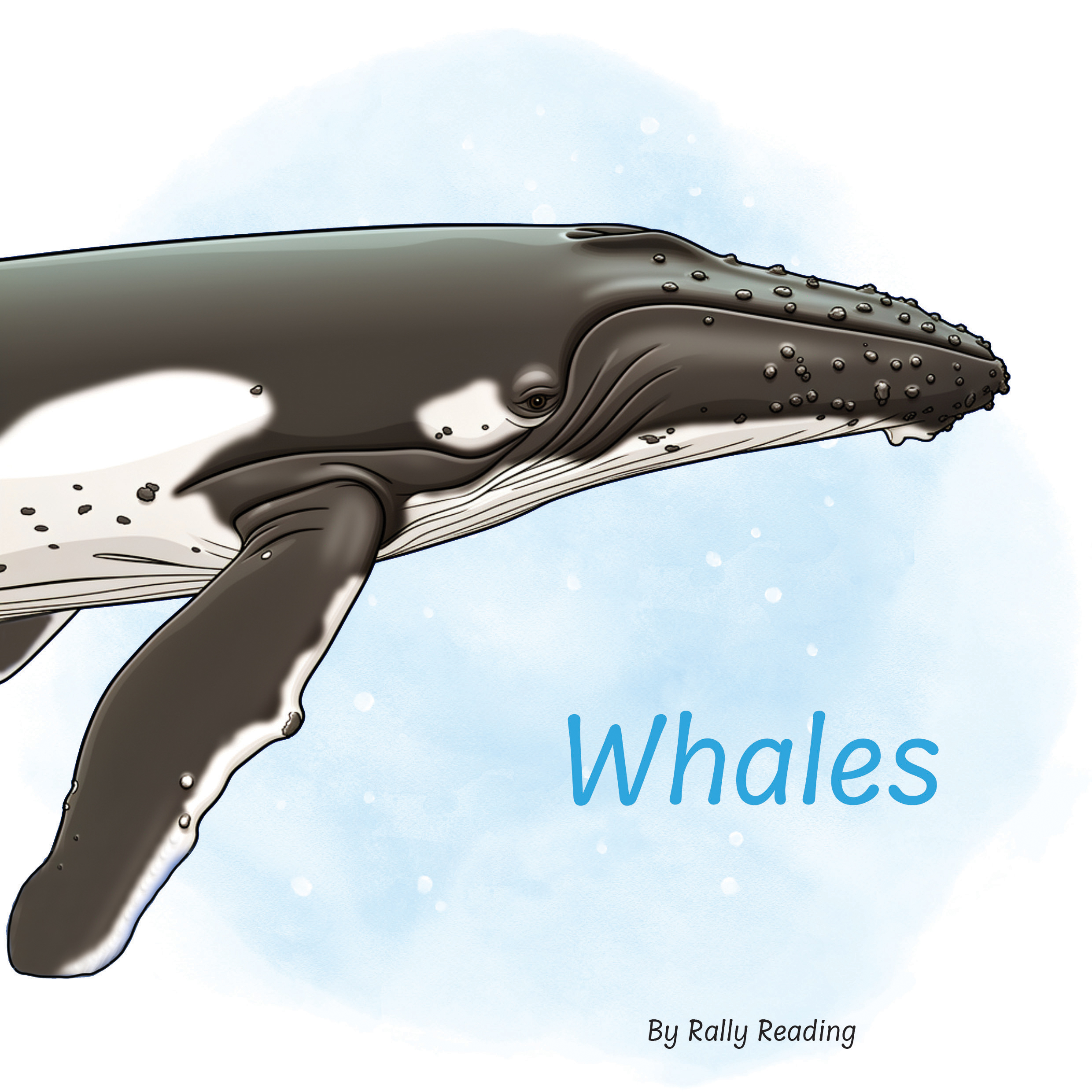 Whales front cover.jpg
