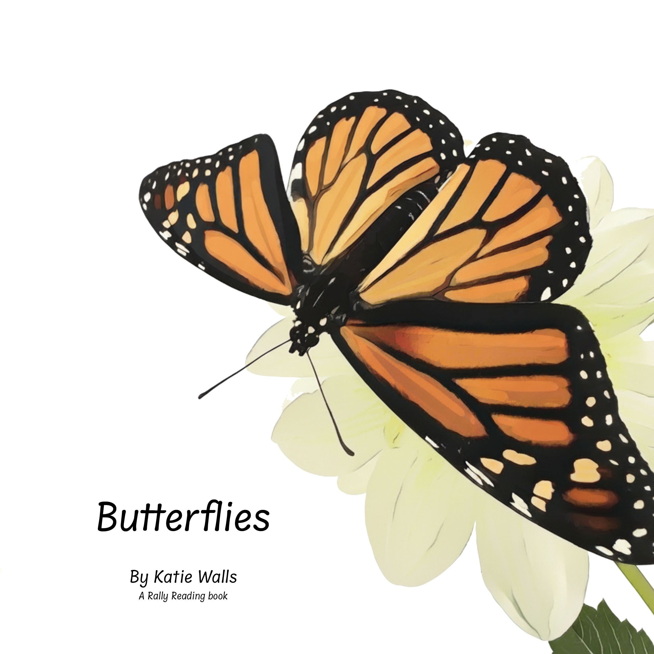 Butterflies Front Cover