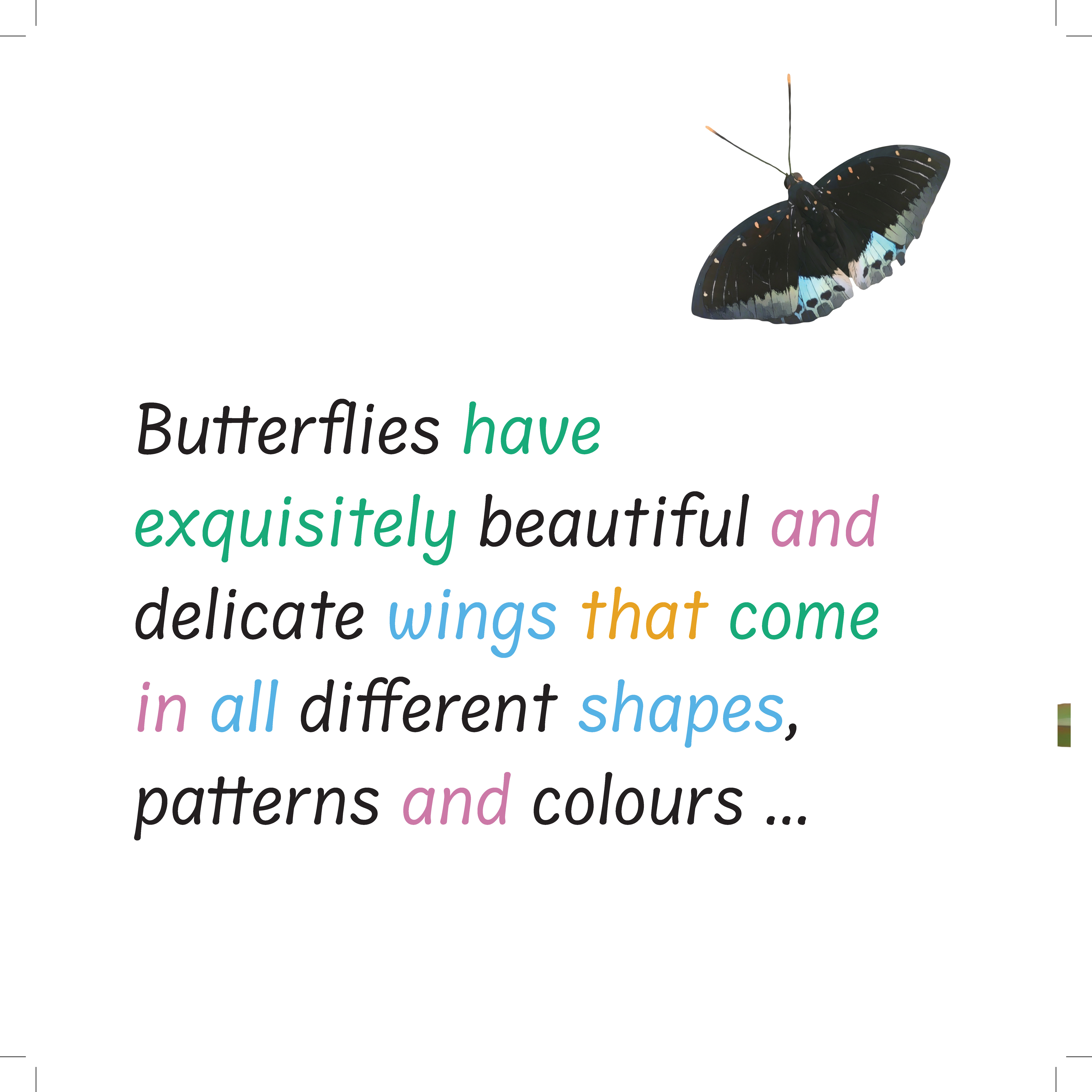 Butterflies Internals Page 1