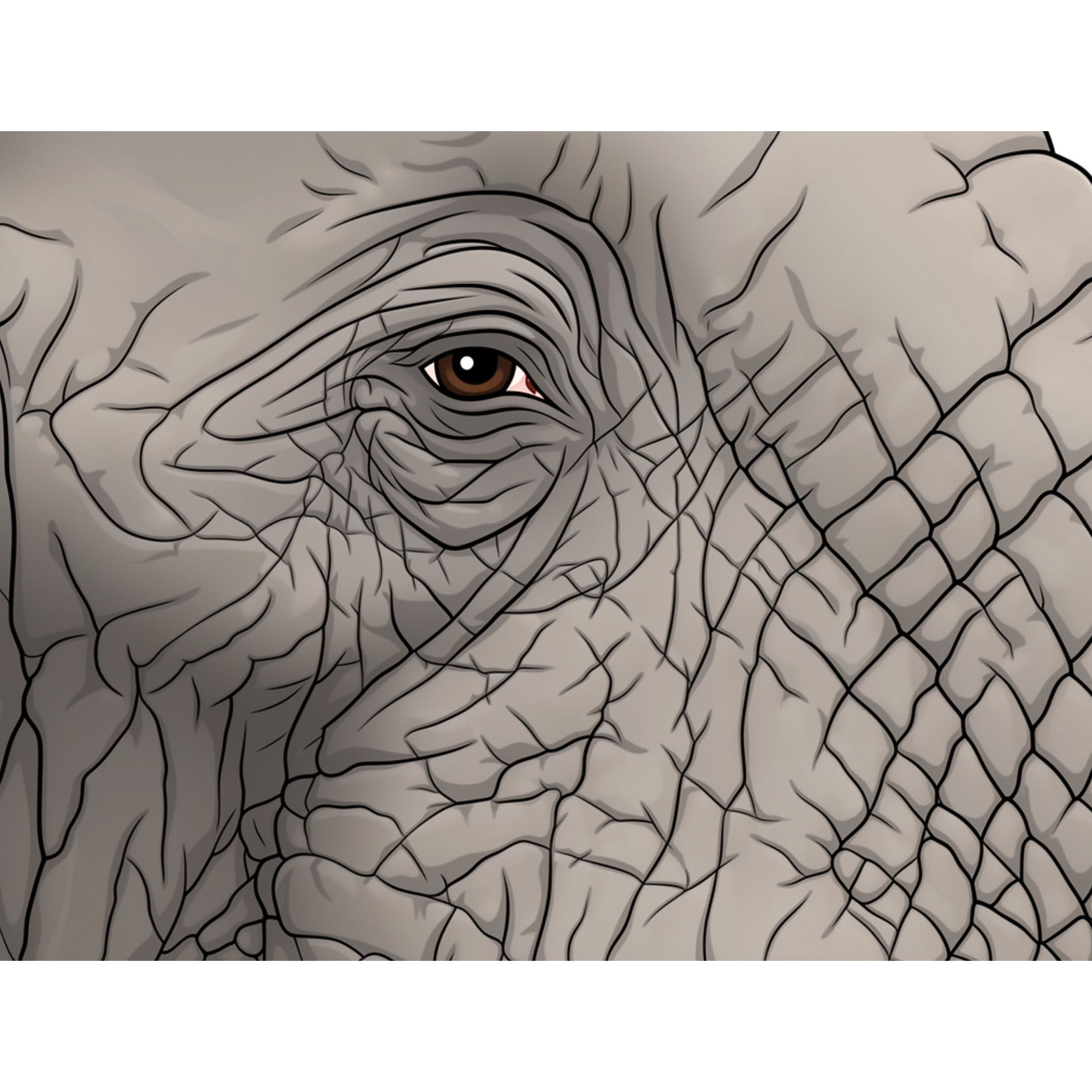 Elephants and dung beetles Page_07.png